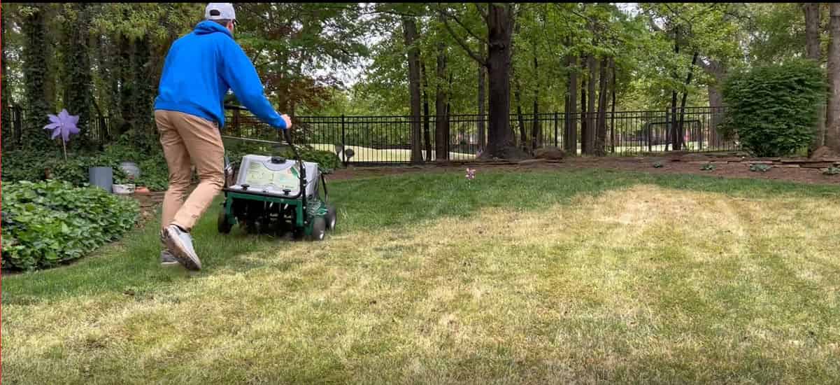 Fall Fescue Overseed image