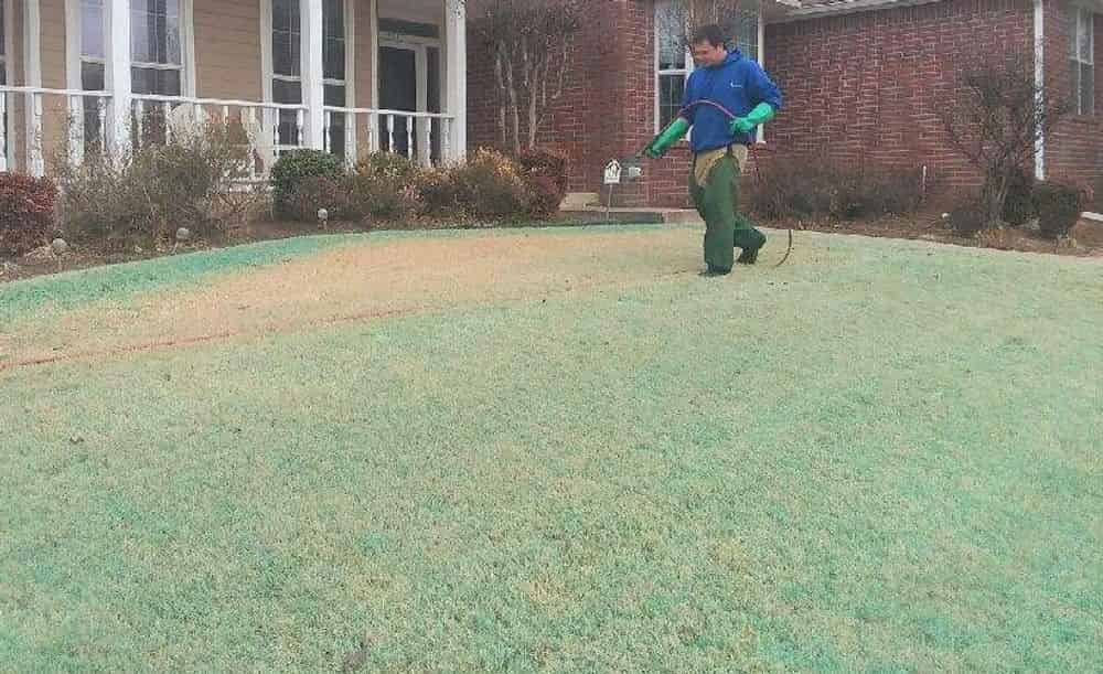 Weed Control and Fertilization image