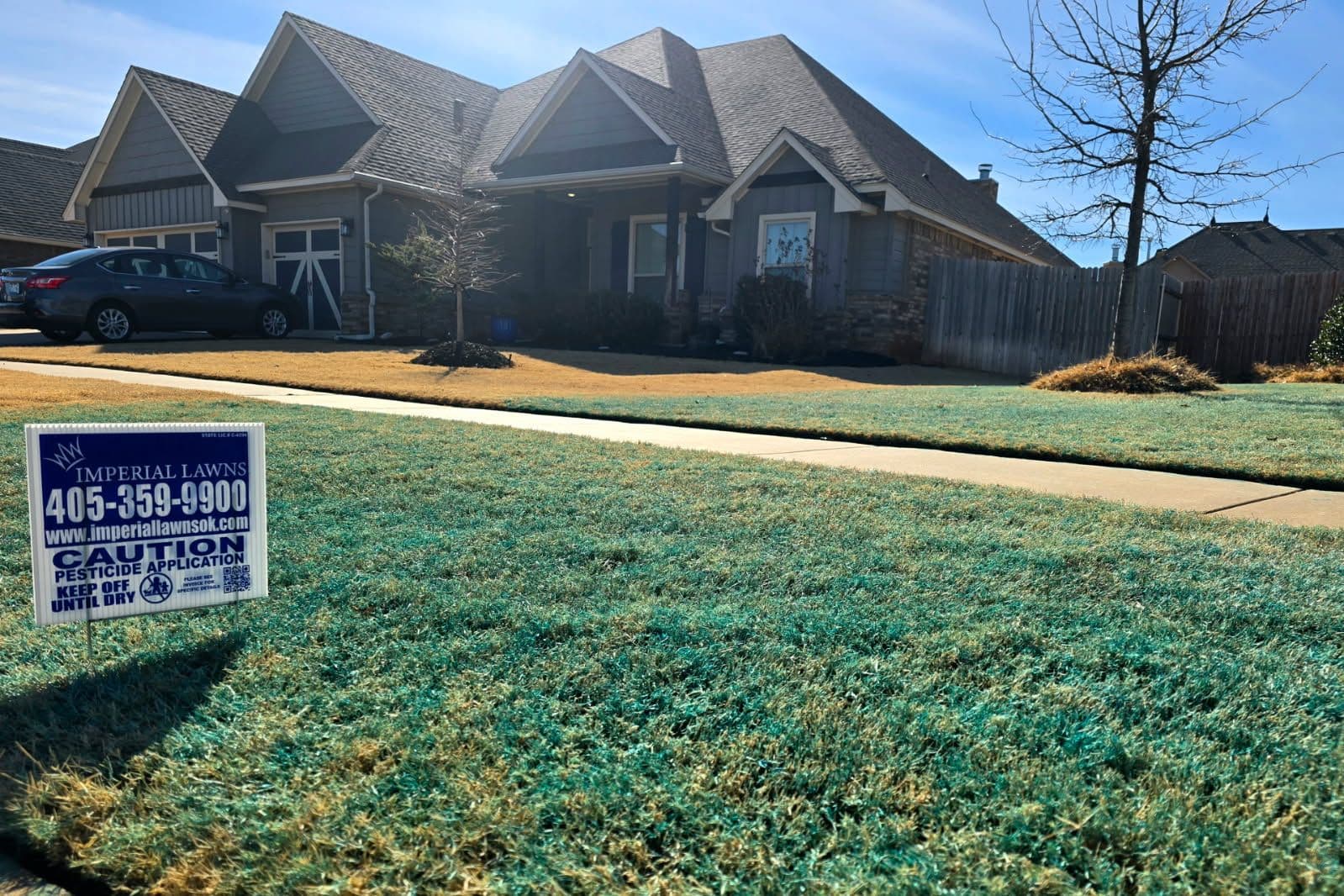 Project Lush Lawns with Fall Fescue Overseed image