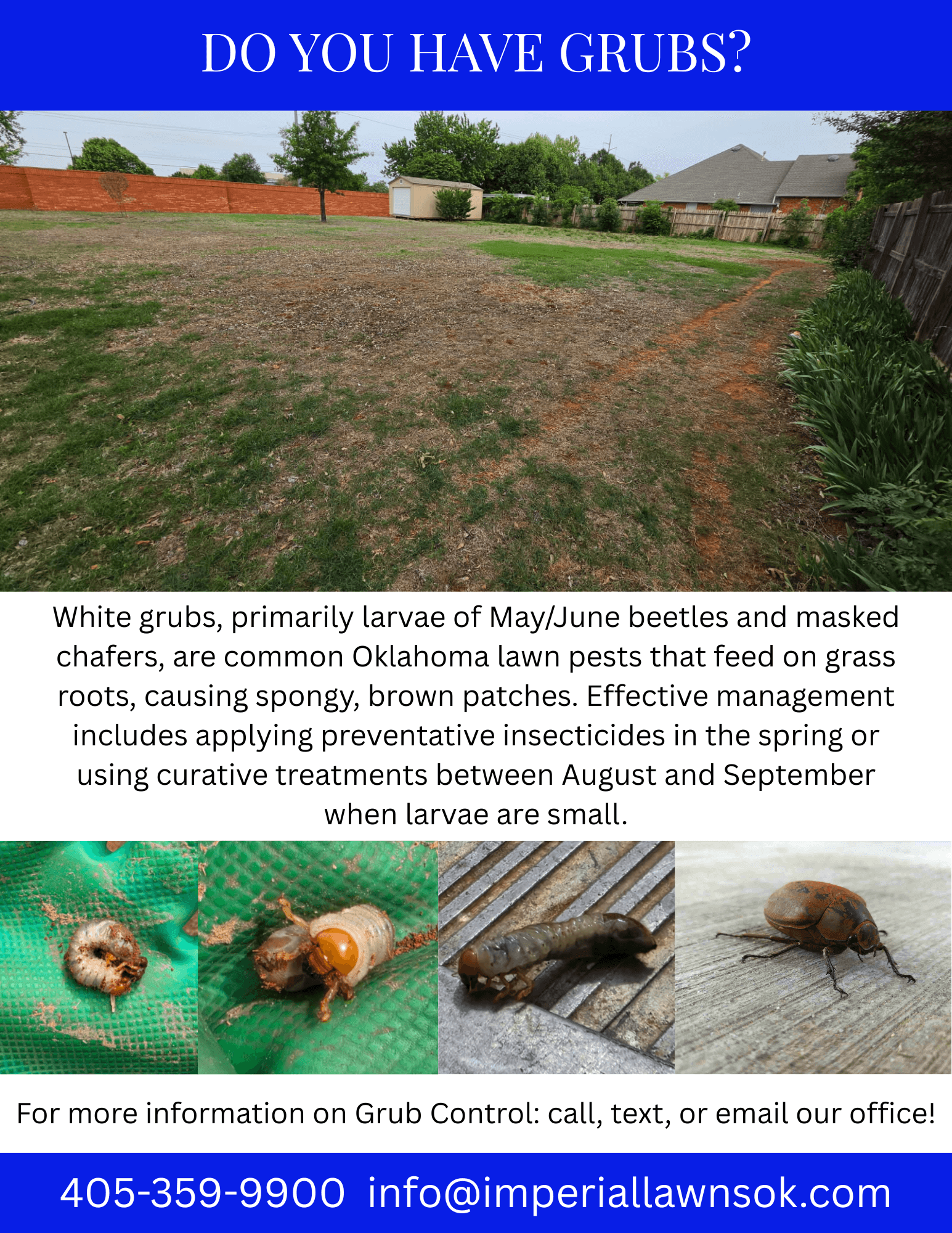 Grubs Are Already Destroying Oklahoma Lawns Underground image