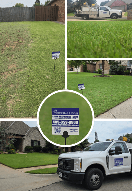 From Patchy and Stressed to Thick and Green - Real Lawn Results image