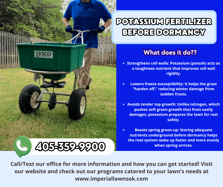 Why Bermuda Lawns Need a Potassium Boost Before Dormancy image
