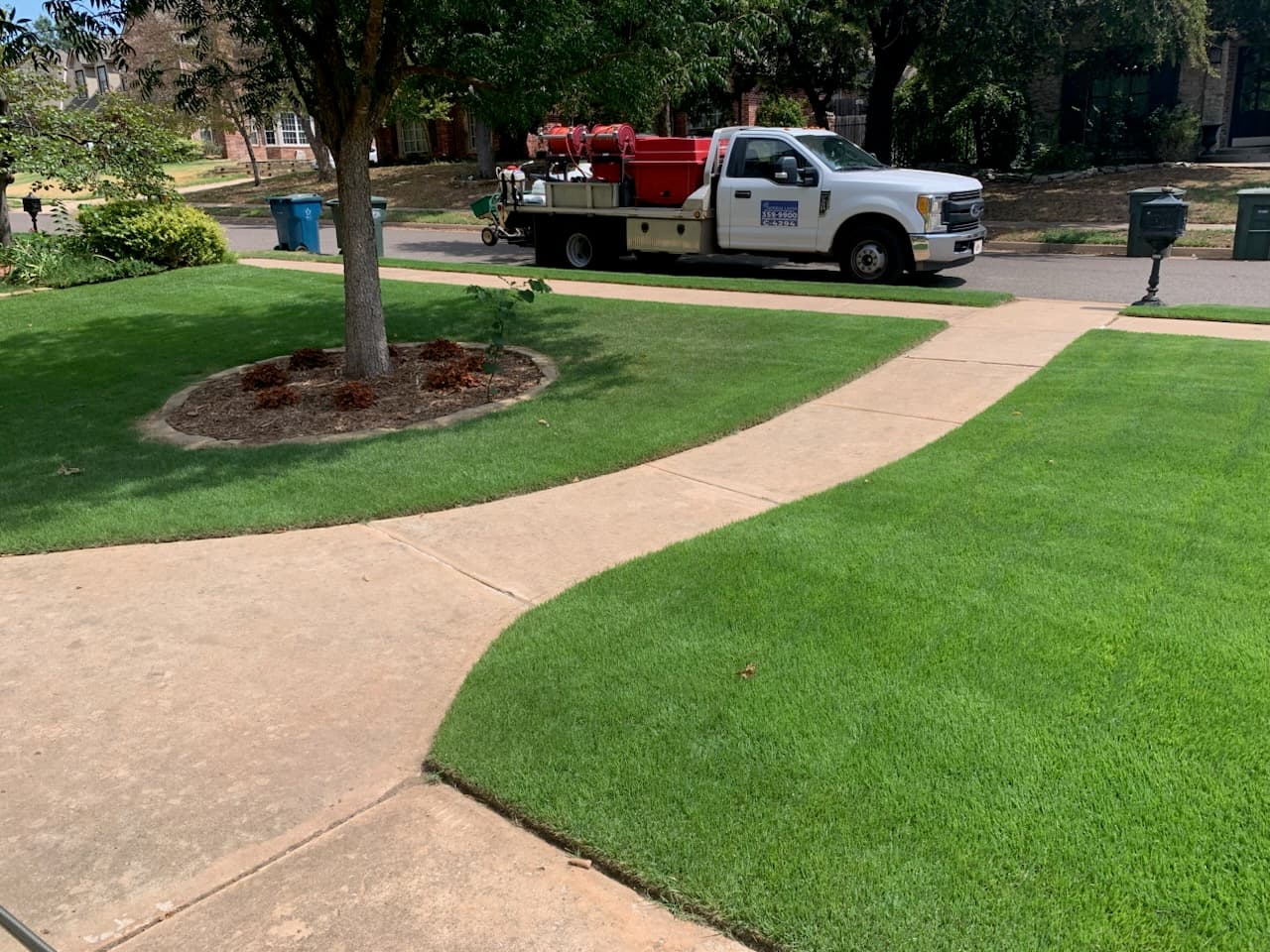 Thriving Lawn at Oak Tree Park Despite Record Heat and Drought image