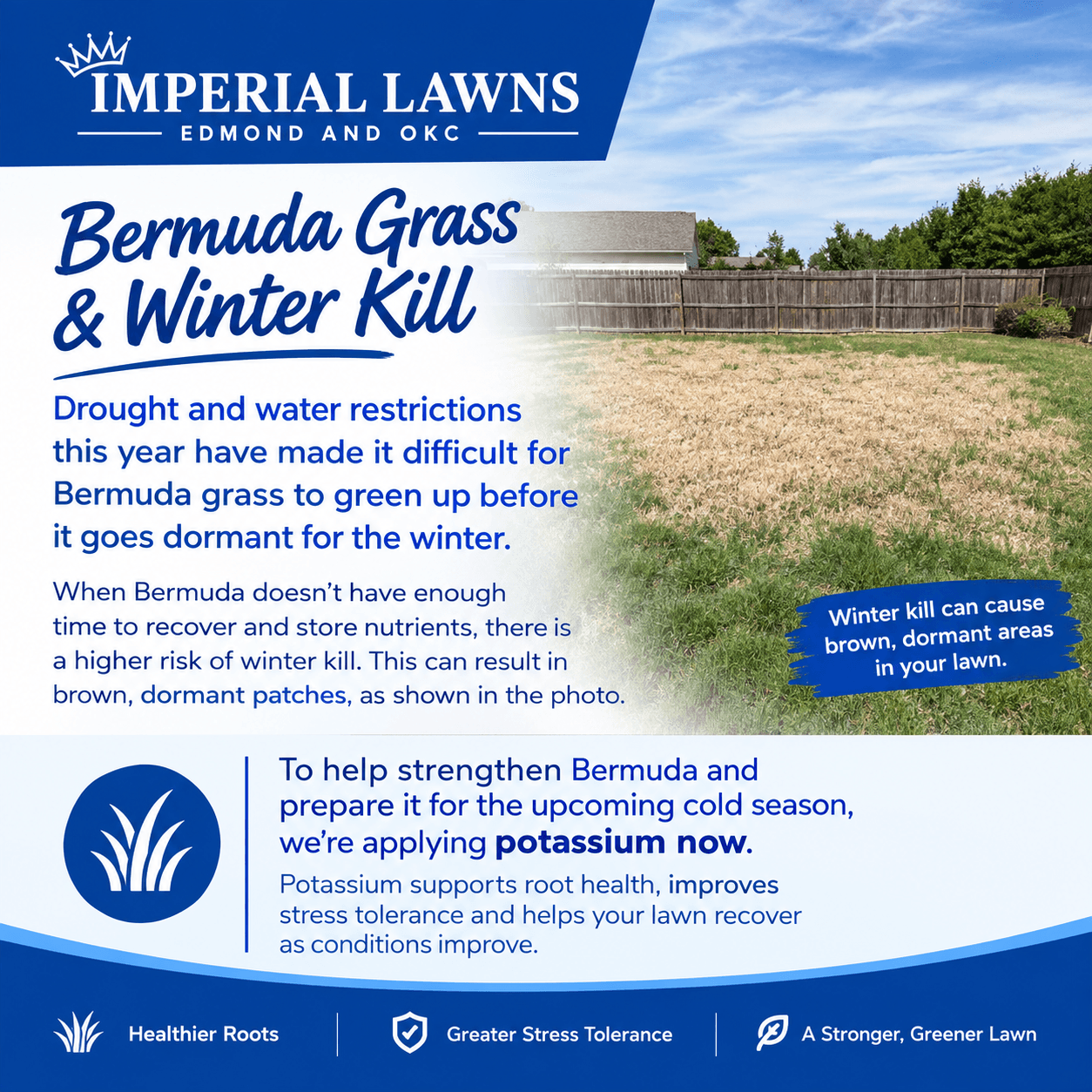 Why We're Applying Potassium to Bermuda Grass Right Now image